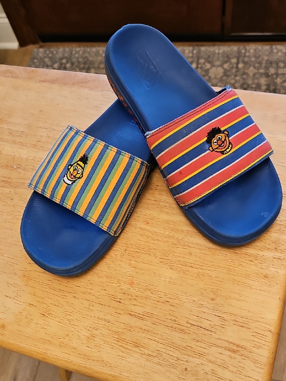 Bert & Ernie Vans Slides